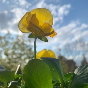 Meet your Posher, I.